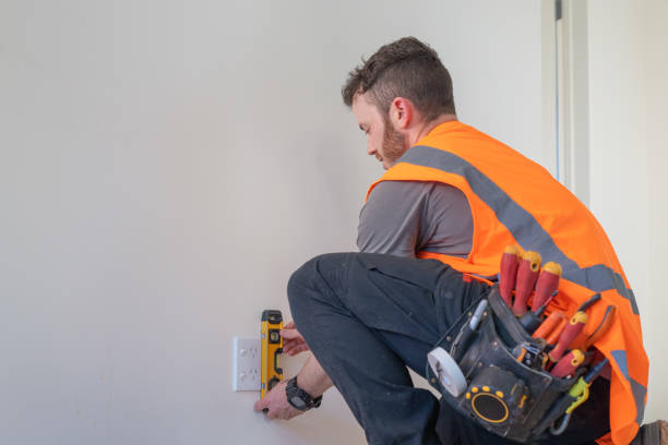 Best Electric Panel Repair  in Los Luceros, NM